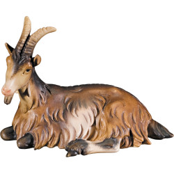 Cabra acostada